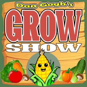 dan gogh garden