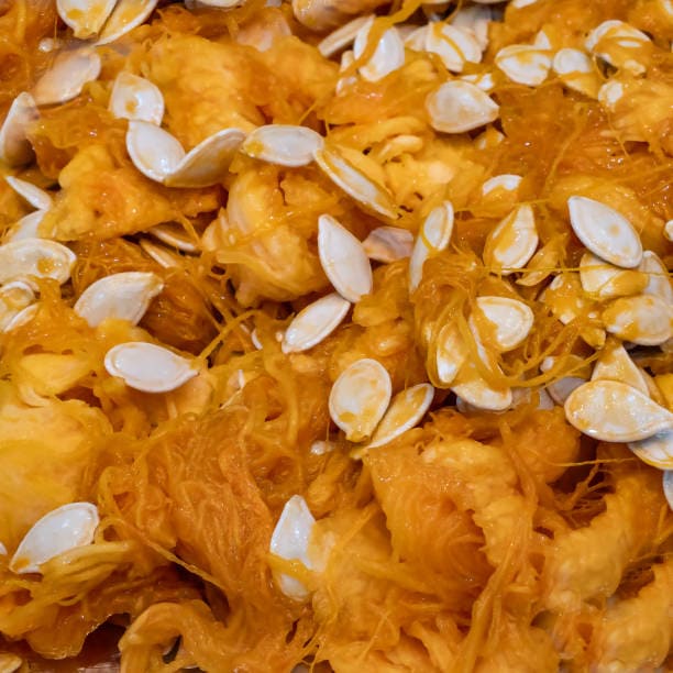 pumpkin guts close up with white seeds harvesting, holiday event.